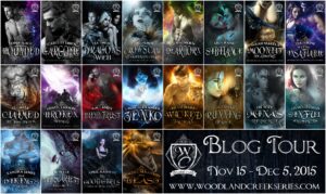 Blog Tour Banner with Covers